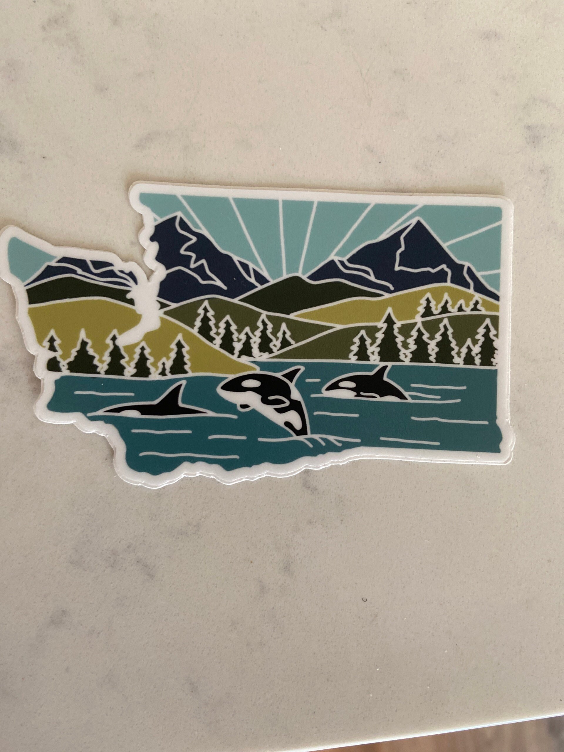 Washington Durable Sticker | High Quality Bumper Sticker | United States Vinyl Decal | Weatherproof Sticker | Water Bottle Sticker | 4&quot;