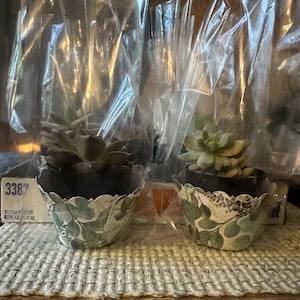 Kelley added a photo of their purchase