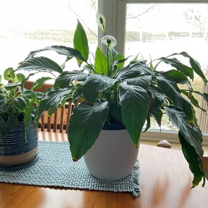 Karen added a photo of their purchase