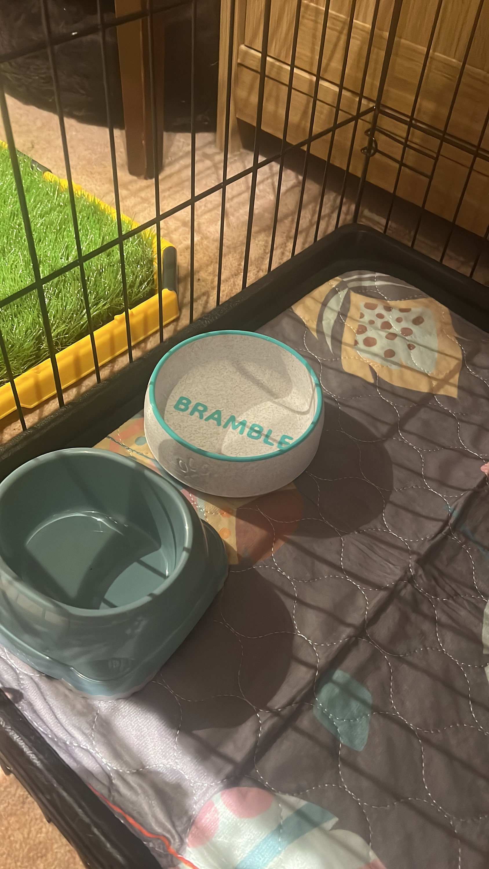 Personalized Dog Bowl with Name