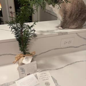 Jasmine ha añadido una foto de su compra