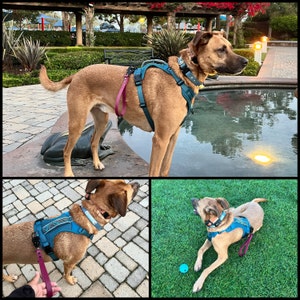 Sush added a photo of their purchase