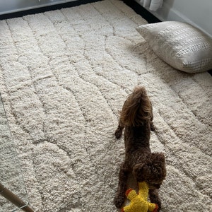 Amelia added a photo of their purchase
