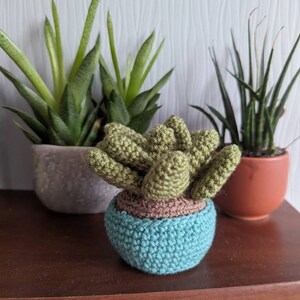 Christine added a photo of their purchase