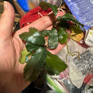 Maureen added a photo of their purchase