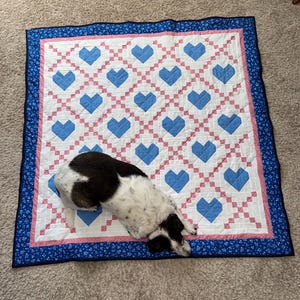 Ashleigh added a photo of their purchase