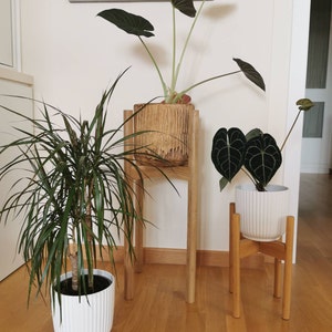 Fernanda added a photo of their purchase