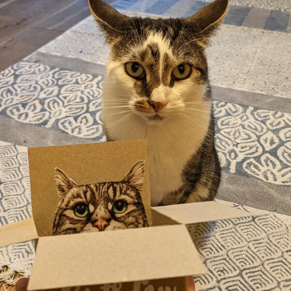 Tabby Cat Birthday Card; the Original Cat in a Box Card. 3D Gift Card ...