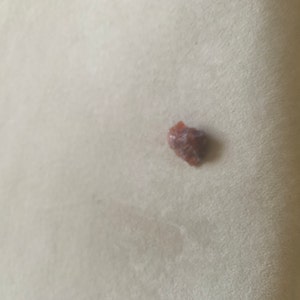 Silvia heeft een foto van de aankoop toegevoegd