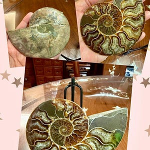 Rowena added a photo of their purchase