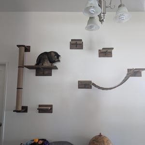 Dani added a photo of their purchase