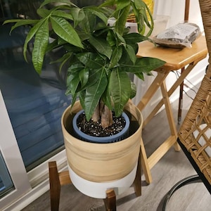 Craig added a photo of their purchase