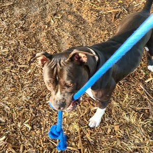 Kerry hat ein Foto des gekauften Artikels hinzugefügt