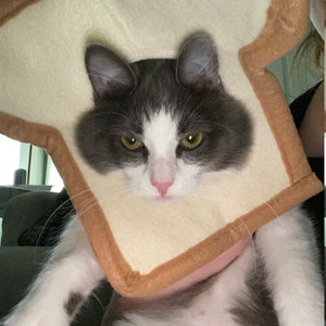 Cat on sale bread costume