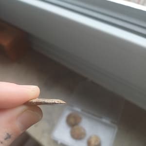 nathalie heeft een foto van de aankoop toegevoegd
