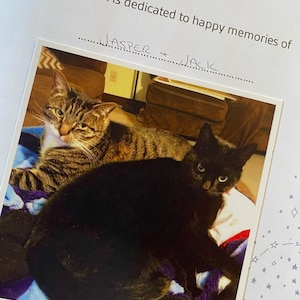 Sarah added a photo of their purchase