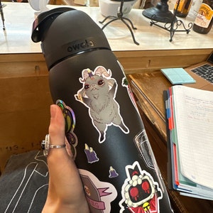 Marah added a photo of their purchase