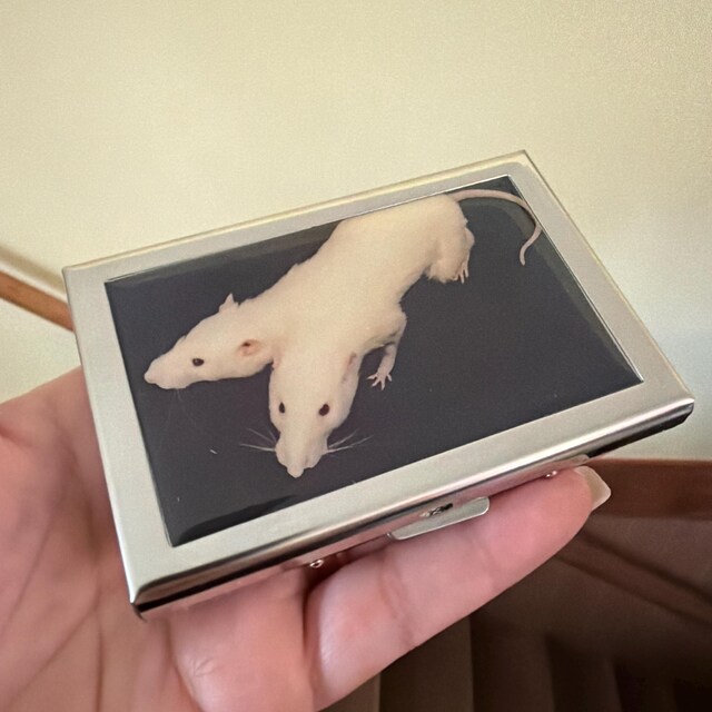 Two Headed Rat Cigarette Case OR Card Holder - Conjoined Rat