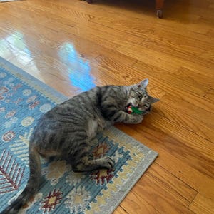 Sophie ha añadido una foto de su compra