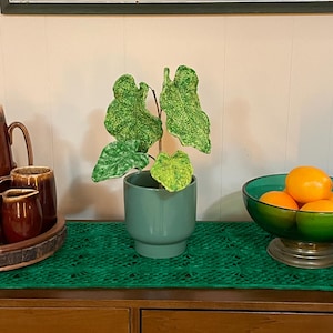 Christine added a photo of their purchase