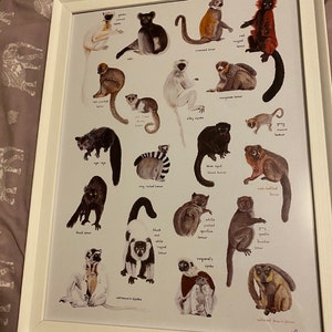 Jasmine added a photo of their purchase