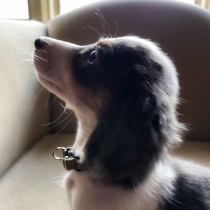 Blū added a photo of their purchase