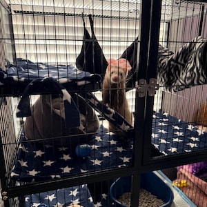 Jolley added a photo of their purchase