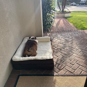 Dana added a photo of their purchase