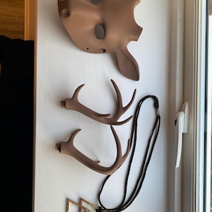 Scott added a photo of their purchase