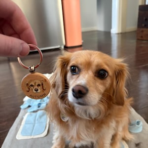 Dylan added a photo of their purchase