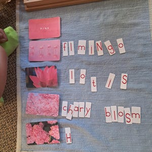 Antonia added a photo of their purchase