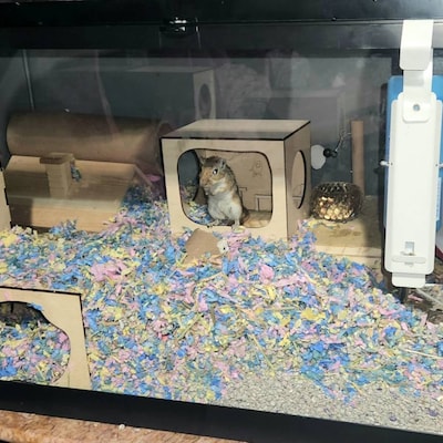 View of Hamster Tunnel/ Hamster Cave Hideout/ Chamber Rooms/ Hamster Digging ...