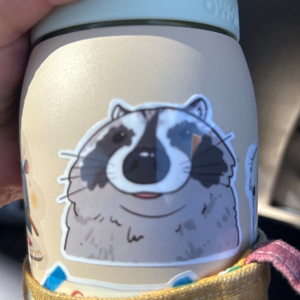 Raccoon Close up | Funny Sticker | Raccoon Sticker | Gifts Under 10 ...