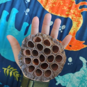 Milani ha añadido una foto de su compra