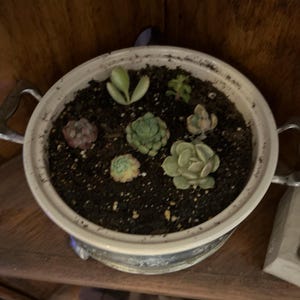 Cindy added a photo of their purchase