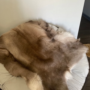 Brandon added a photo of their purchase