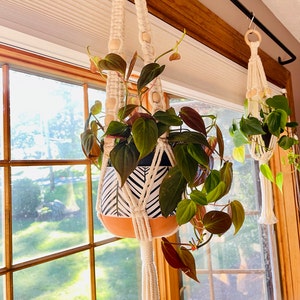 Eileen added a photo of their purchase