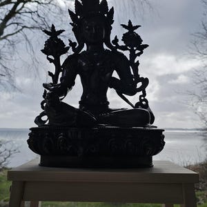 N. added a photo of their purchase