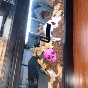 Kennedy ha añadido una foto de su compra