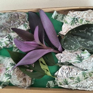 Jennifer さんが購入した商品の写真を追加しました