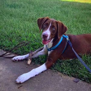 Gretta added a photo of their purchase