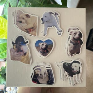 Jenn added a photo of their purchase