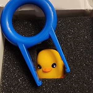 Bri adicionaram uma foto da sua compra