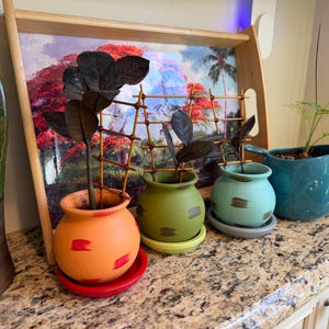 Ann added a photo of their purchase