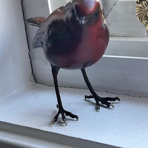 Serena ha añadido una foto de su compra