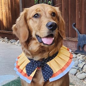 catdoglover added a photo of their purchase
