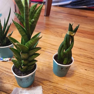 Akerria added a photo of their purchase