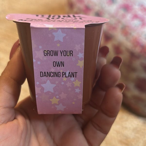 Grow your own christmas tree kit uk