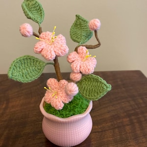 Marie added a photo of their purchase