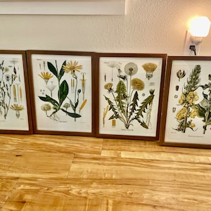 Felicia added a photo of their purchase